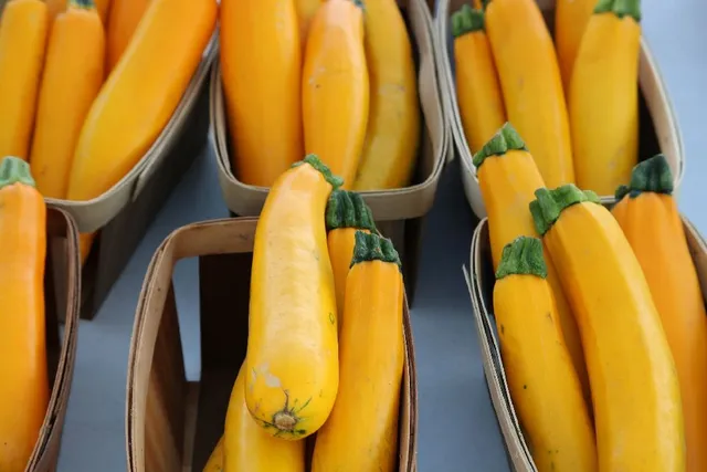Prova anche le zucchine gialle! - foto Pixabay