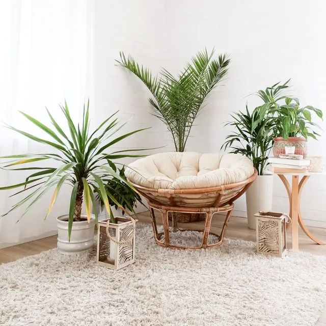 Arreda un angolo per la meditazione in casa vicino alle luce e aggiungi molte piante: il relax è assicurato