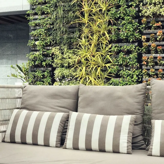 I benefici di avere un giardino verticale in casa - shutterstock 550498906 Di appleyayee