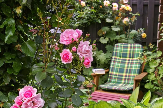 C'è sempre posto per una nuova rosa in giardino: scegli quella che più ti piace tra mille! - foto Pixabay