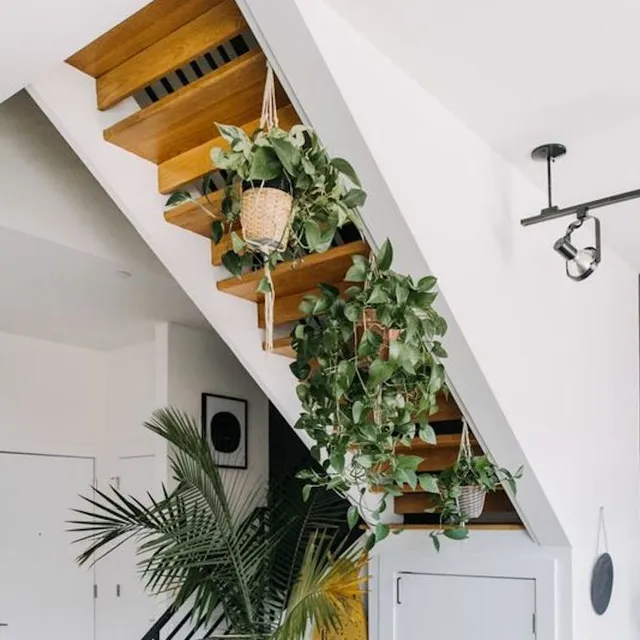 Idee originali per abbellire le scale con le piante - apartmentherapy