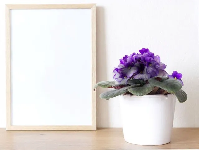 Un vaso bianco elegantissimo metterà ancora più in risalto la bellezza dei tuoi fiori - foto Leroy Merlin