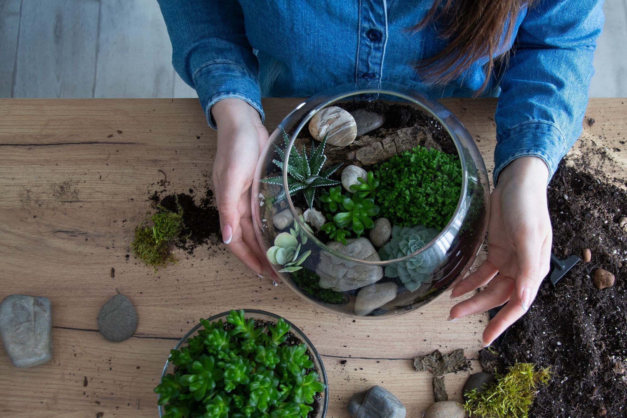 Come realizzare un terrarium desertico