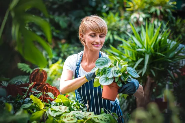 Se hai dubbi di giardinaggio, chiedi al Mastro Giardiniere sulla Community di Leroy Merlin!