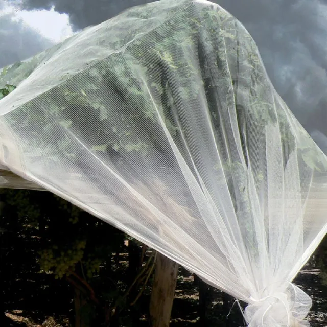 Proteggi dal freddo le piante più delicate con teli in tnt - foto Leroy Merlin