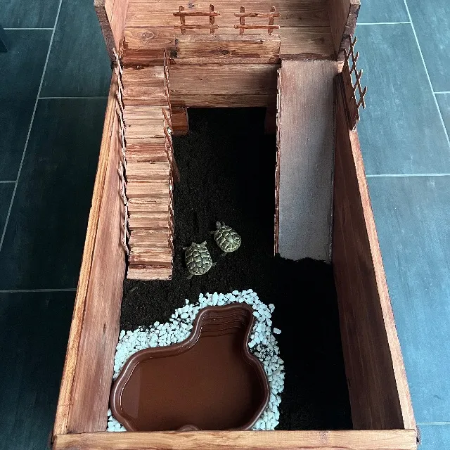 Terrario per tartarughe