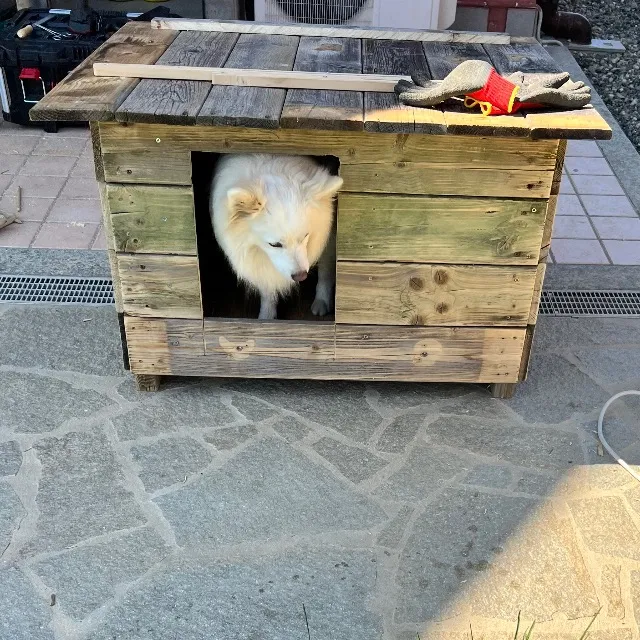 Cuccia cane piccola taglia