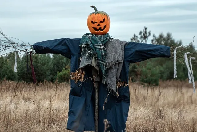 Utilizza vecchi vestiti per il manichino, e una zucca intagliata per la testa – foto Leroy Merlin