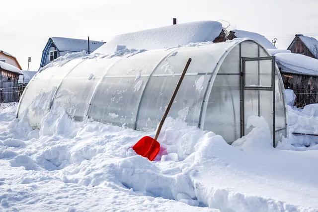 Rimuovi la neve che grava sulla serra, potrebbe sfondarla! – foto Leroy Merlin