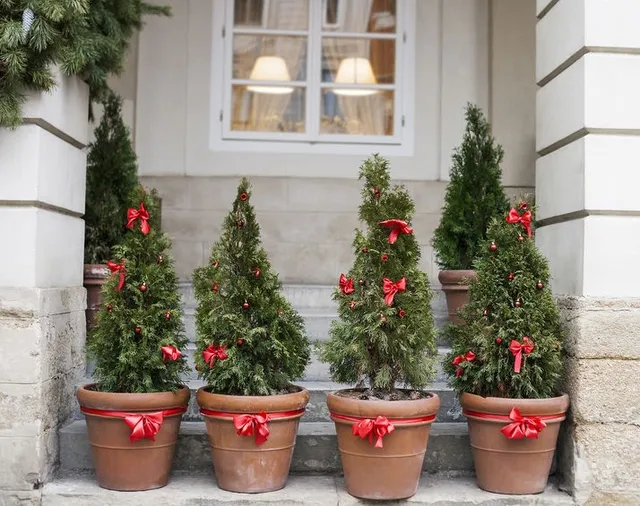 Dicembre, mese festoso e non privo di lavori in giardino! – foto Leroy Merlin