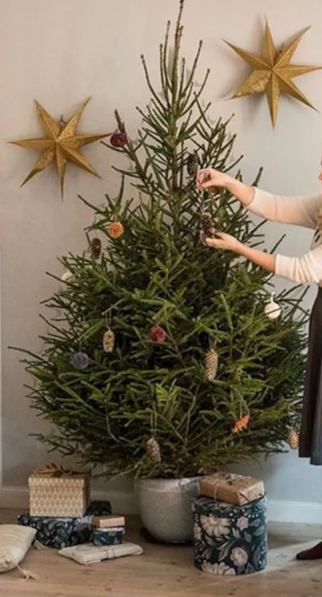 albero di natale vero conviene metterlo in casa