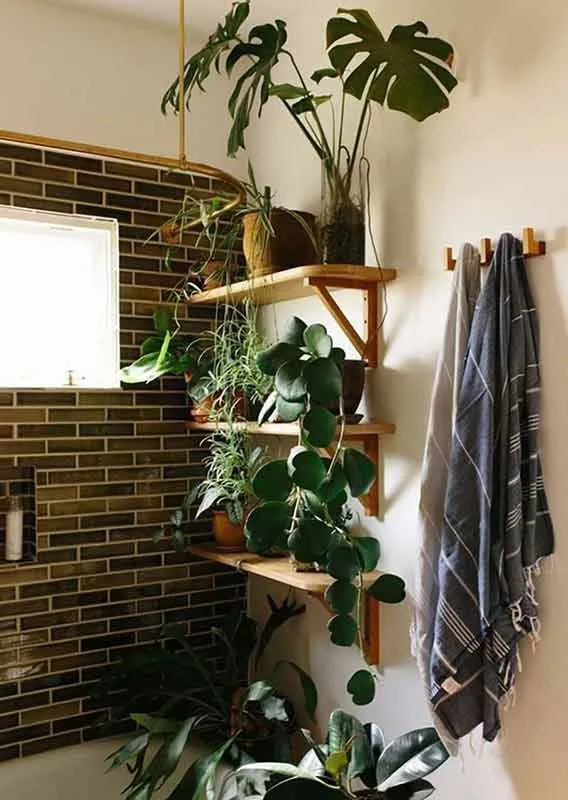 Le piante conferiscono un aspetto accogliente e rilassante e sono perfette per il bagno – foto Ideadedigncasa