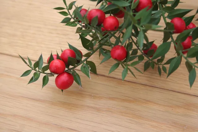 Utilizza ramoscelli di Pungitopo per decorare la casa a Natale! - foto Leroy Merlin