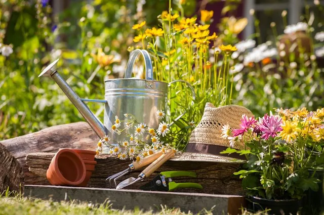 Goditi il giardino estivo e curalo se vuoi che sia sempre bello! – foto Leroy Merlin