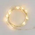 Catena luminosa 20 lampadine LED bianco caldo Micro 2 m