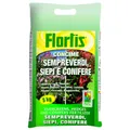 Concime FLORTIS per sempreverdi, siepi e conifere 5 KG