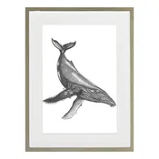 Stampa incorniciata Balena 32 x 42 cm