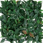 Siepe artificiale Photinia Divy 3D in polietilene, verde H 1 m x L 1 m