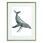 Stampa incorniciata Balena beige 32 x 42 cm