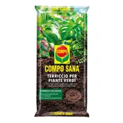 Terriccio COMPO Sana per piante verdi 10 L