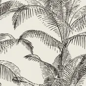 Carta da parati Palma nero, 53 cm x 10.05 m