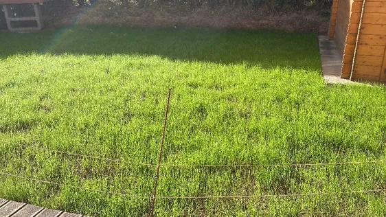 Buongiorno, ho rifatto circa una ventina di giorni fa il prat