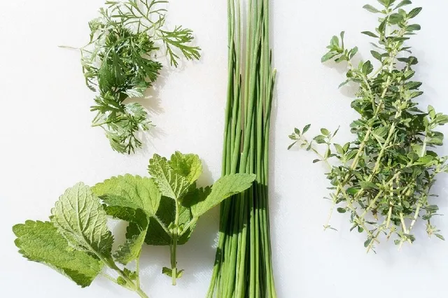 Erbe aromatiche, come utilizzarle