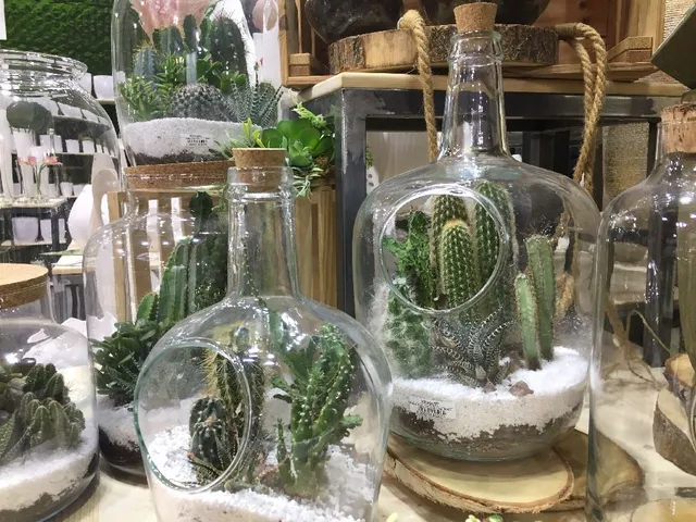 Terrarium: come crearlo