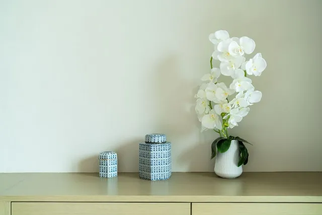 Come prendersi cura delle orchidee