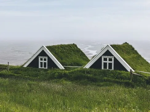 6 motivi per creare un tetto verde - 2
