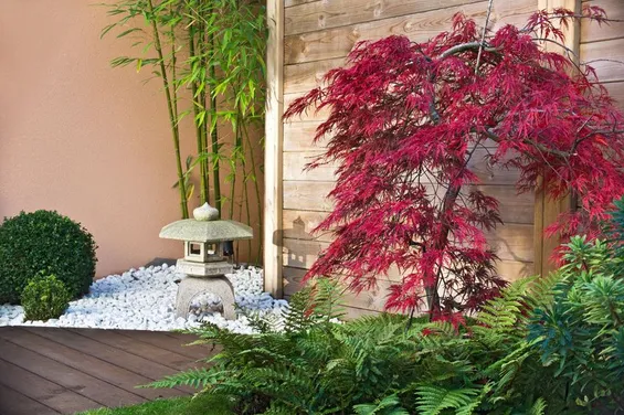 Come realizzare il tuo angolo zen in giardino