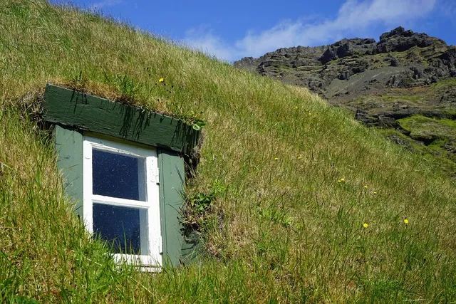 6 motivi per creare un tetto verde