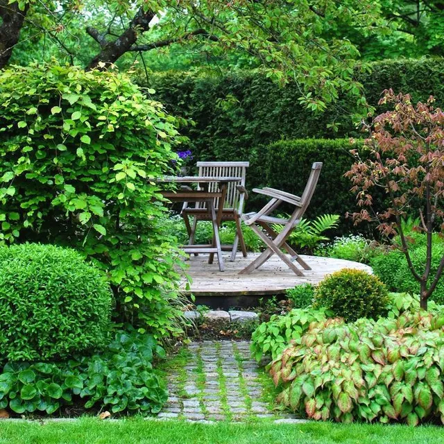 Realizzare un giardino organico