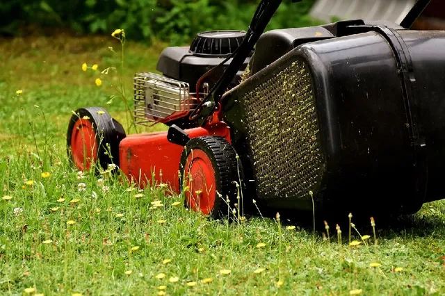 In primavera i tagli sono più frequenti, poichè l'erba cresce in fretta! - foto Pixabay