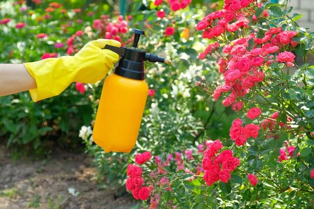 Proteggi i tuoi fiori con prodotti naturali! - foto Leroy Merlin