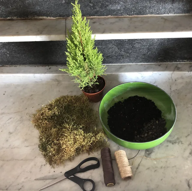 Procurati il materiale necessario a creare il tuo kokedama - foto dell’autrice