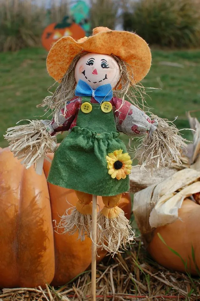 Una vecchia bambola dimenticata tornerà a sorridere nel tuo orto! – foto Pixabay
