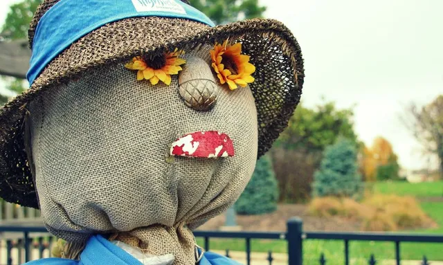 Un sacco di juta e un cappello di paglia: ecco il volto del tuo spaventapasseri! – foto Pixabay
