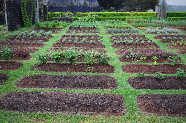 Prepara il terreno del tuo orto per le prossime colture – foto Leroy Merlin