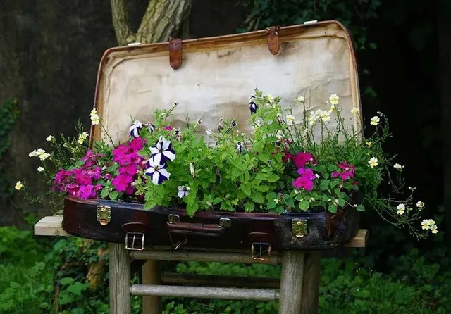 Una vecchia valigia può ancora tornare utile in giardino! - foto Pixabay