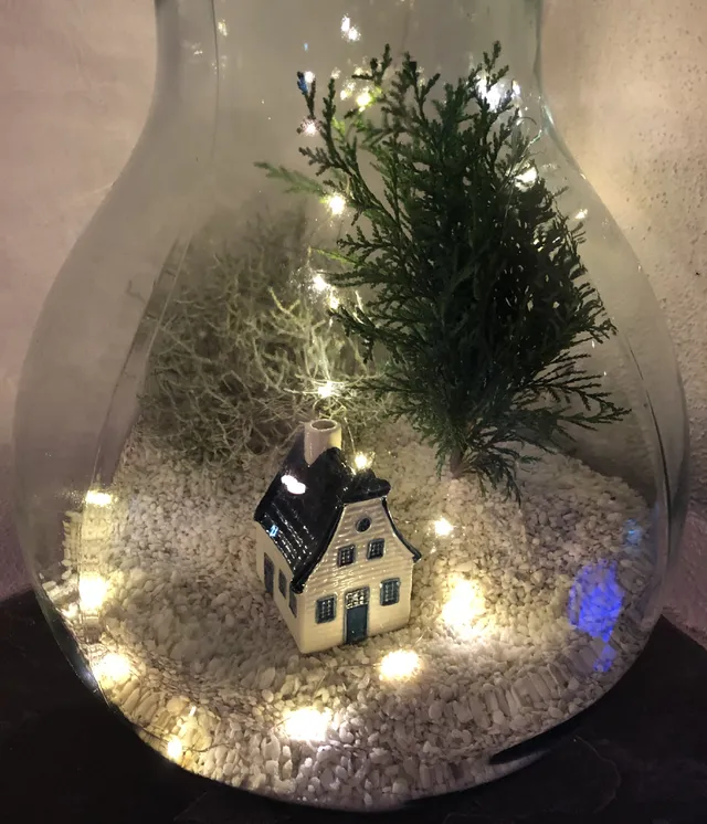 Le lucine creano un effetto magico nel mio terrarium – foto dell’autrice