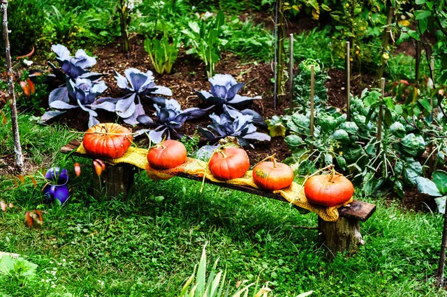 Zucche e cavoli maturano nell’orto con l’arrivo del primo freddo – foto Leroy Merlin