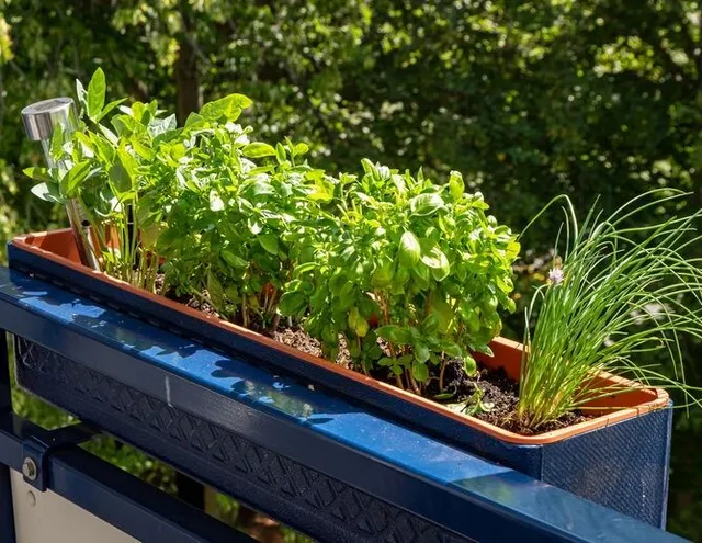 Ottimizza lo spazio sul tuo balcone: coltiva aromi nelle fioriere! - foto Leroy Merlin