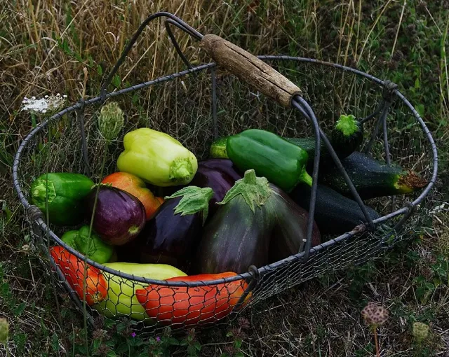Verdura di stagione maturata nel tuo orto, a km zero, è meglio! – foto Pixabay