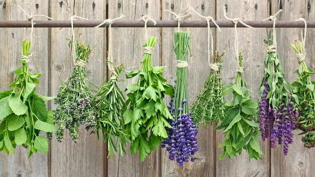 Fai seccare le tue erbe aromatiche preferite per poterle utilizzare anche in inverno! - foto Pixabay