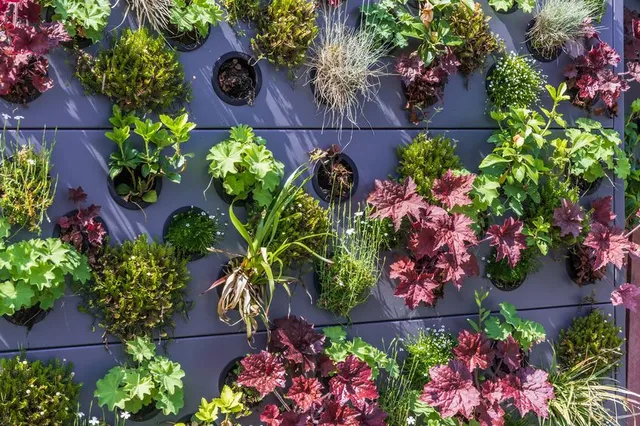 Crea il tuo giardino verticale con le piantine giuste e la struttura più adatta – foto Leroy Merlin