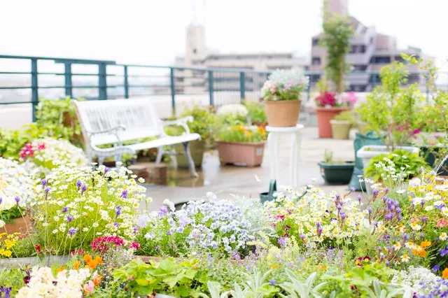 Riempi il tuo terrazzo a più non posso di vasi, ti sembrerà di avere un giardino anche in città - foto Leroy Merlin