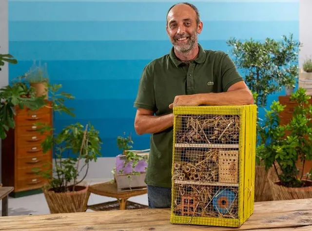 Come realizzare un bug hotel per gli insetti impollinatori con legno di scarto - Leroy Merlin