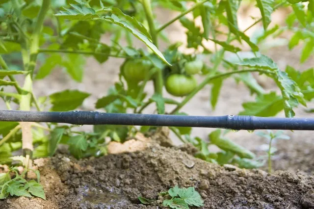 Un impianto d’irrigazione comandato da una centralina, bagnerà le piante del tuo orto puntualmente ogni giorno – foto Leroy Merlin