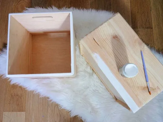 Stendi il primer sul bordo delle scatole di legno, poi il bianco